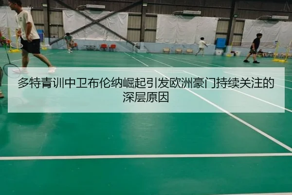 多特青训中卫布伦纳崛起引发欧洲豪门持续关注的深层原因 | kaiyun