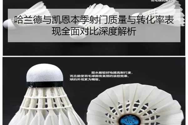 哈兰德与凯恩本季射门质量与转化率表现全面对比深度解析（kaiyun）
