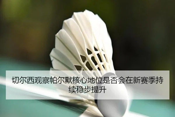 切尔西观察帕尔默核心地位是否会在新赛季持续稳步提升 | kaiyun